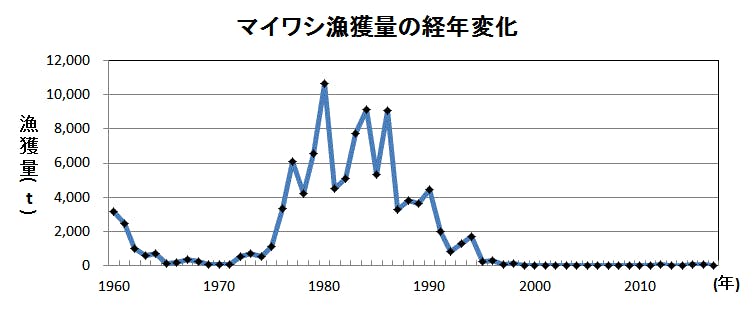 作者・パッケージの写真